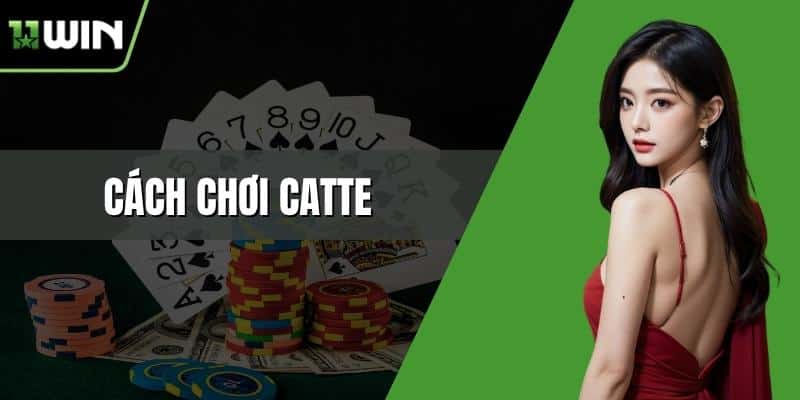 Cách chơi Catte