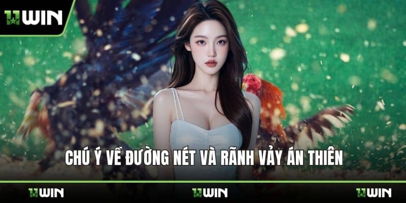 Chú ý về đường nét và rãnh vảy án thiên