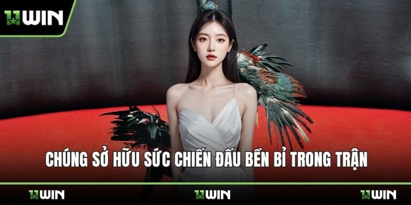 Chúng sở hữu sức chiến đấu bền bỉ trong trận