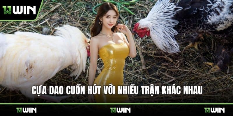Cựa dao cuốn hút với nhiều trận khác nhau