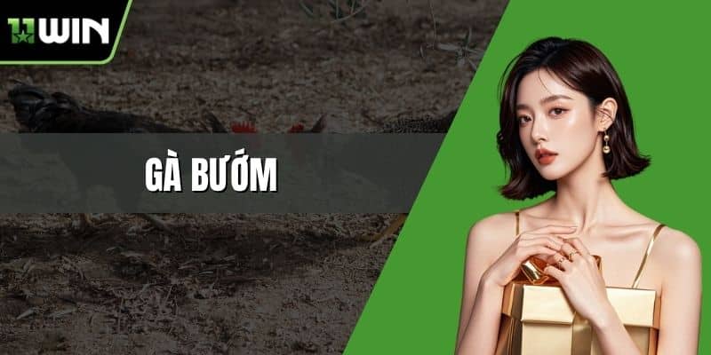 gà bướm