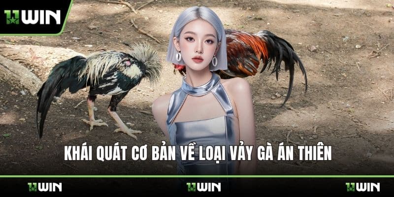 Khái quát cơ bản về loại vảy gà án thiên