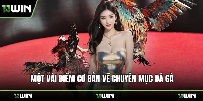 Một vài điểm cơ bản về chuyên mục đá gà