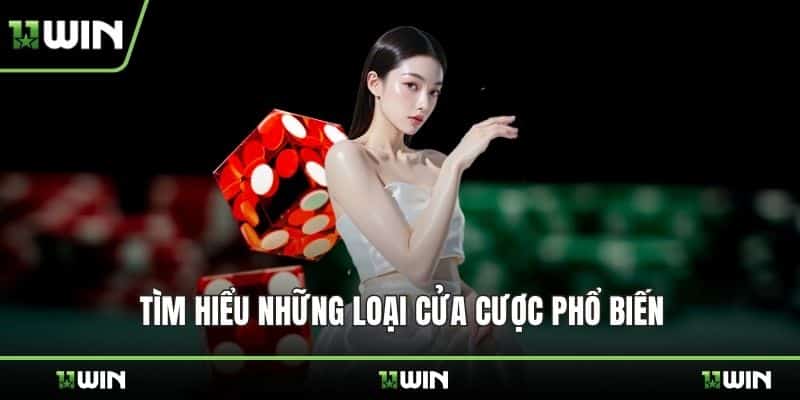 Tìm hiểu những loại cửa cược phổ biến