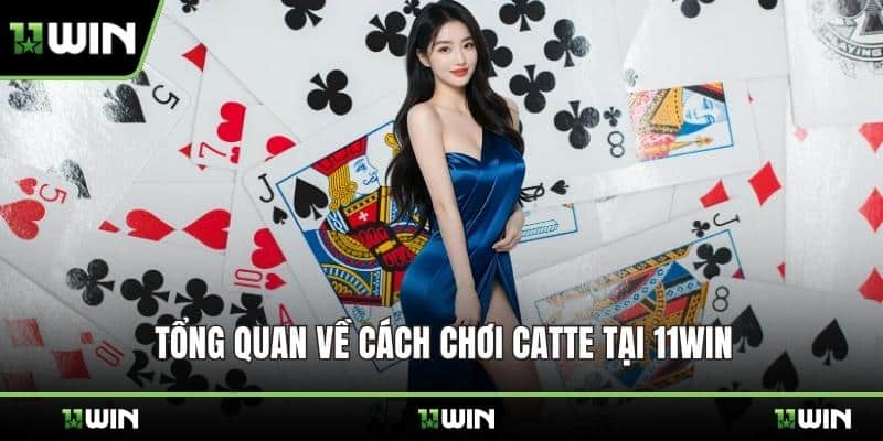 Tổng quan về cách chơi Catte tại 11WIN